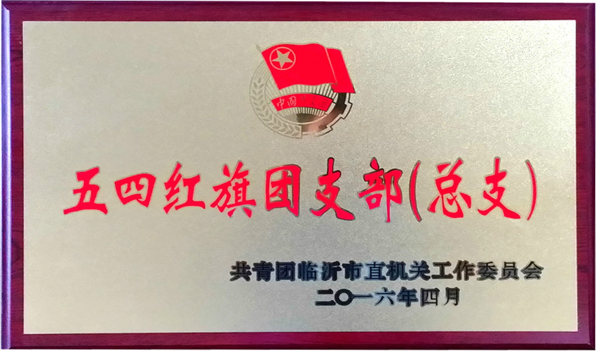 平搏在线平台优秀基层团组织和优秀团干部受到表彰